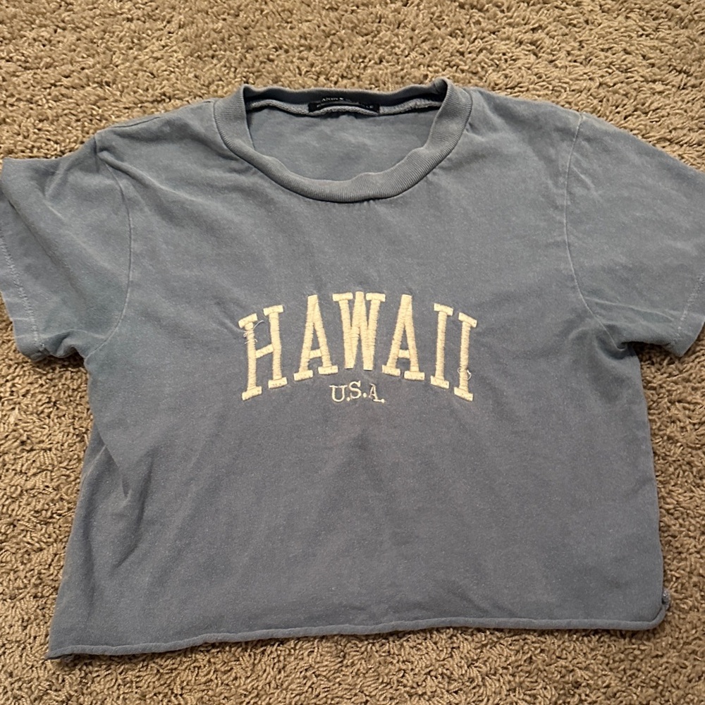 Brandy Melville Gray Tee with Hawaii Print